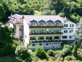 Отель Landhotel Krolik  Даун